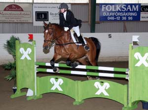 20080406_151048 Erika Andersson Amoz